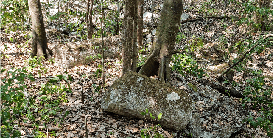 вчені виявили незвичайні архітектурні структури