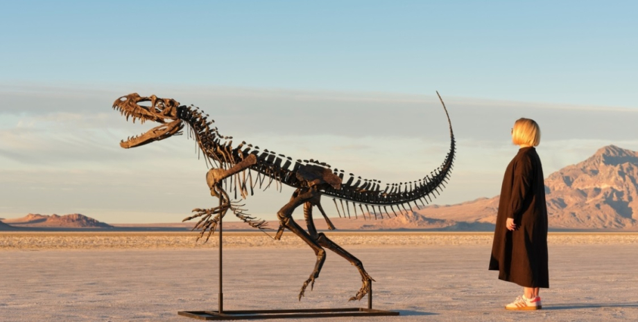 Цератозавр Цератозавр аукціон