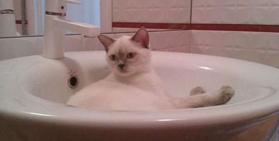 Фото из открытых источников