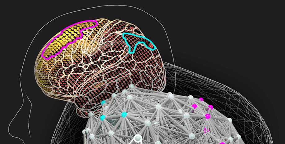 тесты интеллекта, время ответа, точность, сложные вопросы, модели мозговых сетей, связь, симуляции, Human Connectome Project, измерение IQ, баланс возбуждения-торможения, принятие решений, решение проблем, синхронизация, нейронные цепи