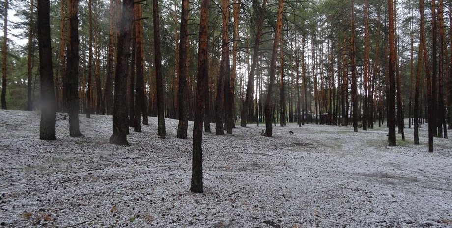 Фото: charivne.info