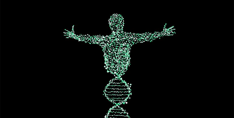 Фото пользователя NeuPaddy на Pixabay