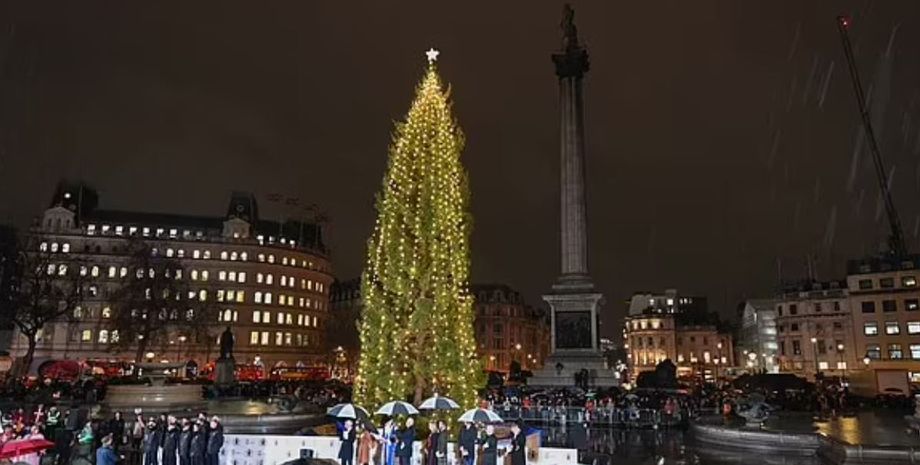 Главную елку Великобритании раскритиковали, что не так на этот раз, скандал, Новый год, Рождество