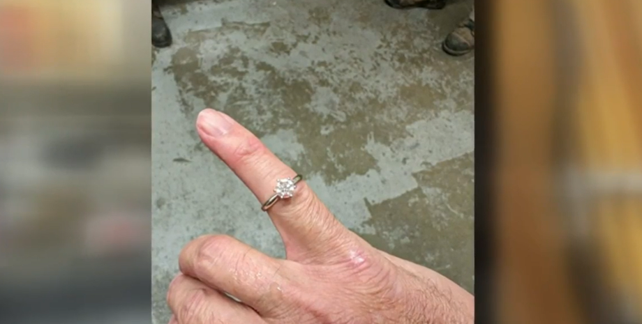 Выброшенное в мусорку бриллиантовое кольцо, украшение на помойке, курьезы, фото, видео, США