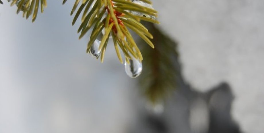 погода, потепление