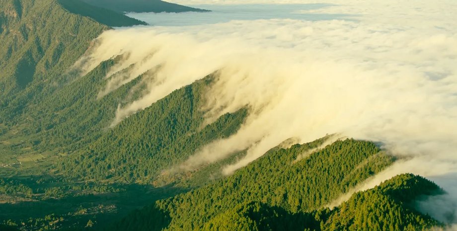 фен, фен, ефект фена, ефект фена