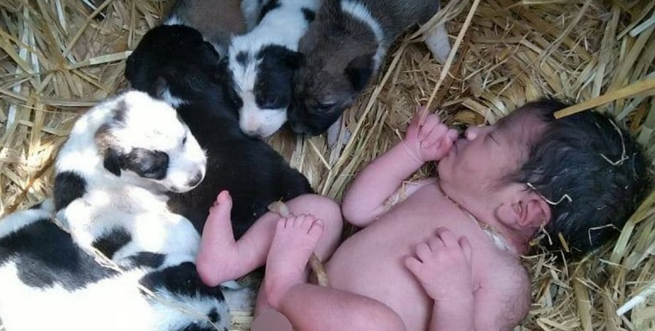 ребенок в Индии