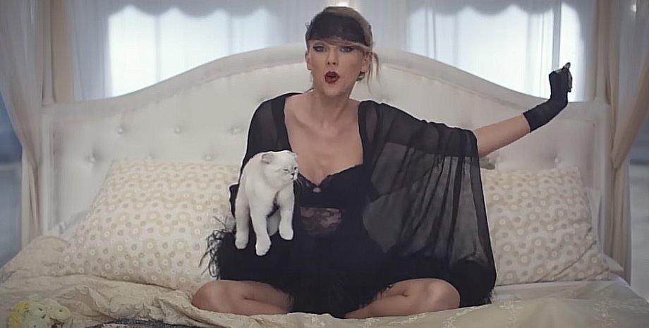 Тейлор Свіфт, Олівія Бенсон, кішка