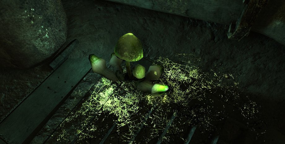 Иллюстративное фото: failheap-challenge.com