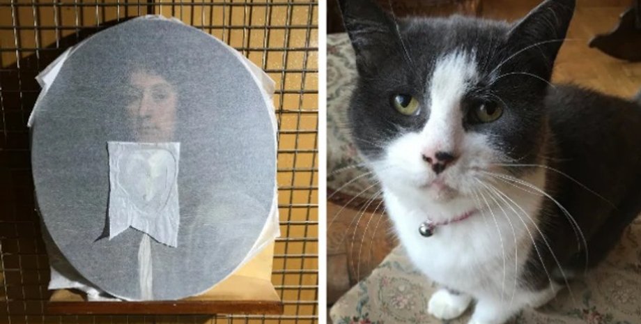 Фото: The Telegraph