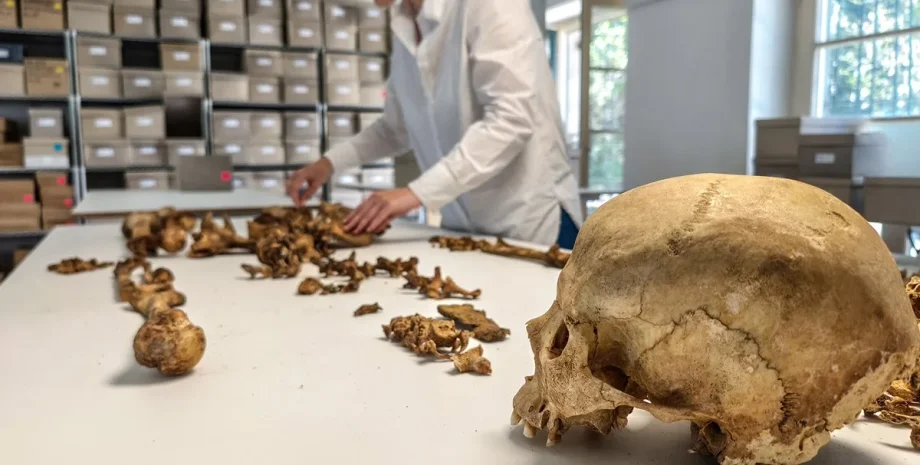 Ученые исследовали останки