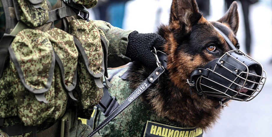 Фото: Интерфакс