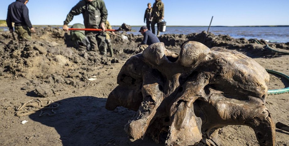 Фото: Пресс-служба губернатора ЯНАО