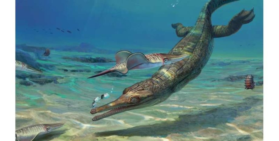древние животные, палеонтология, морской крокодил