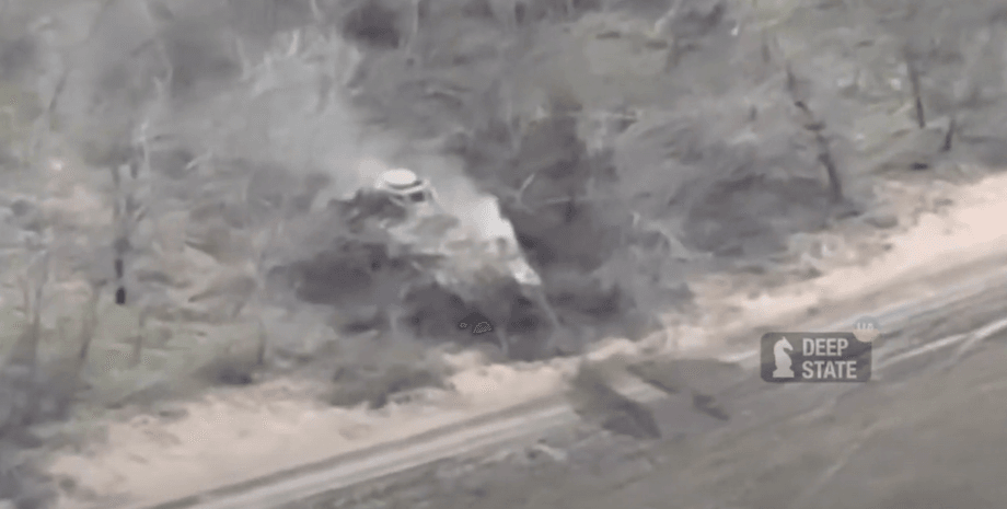 поражение рыси