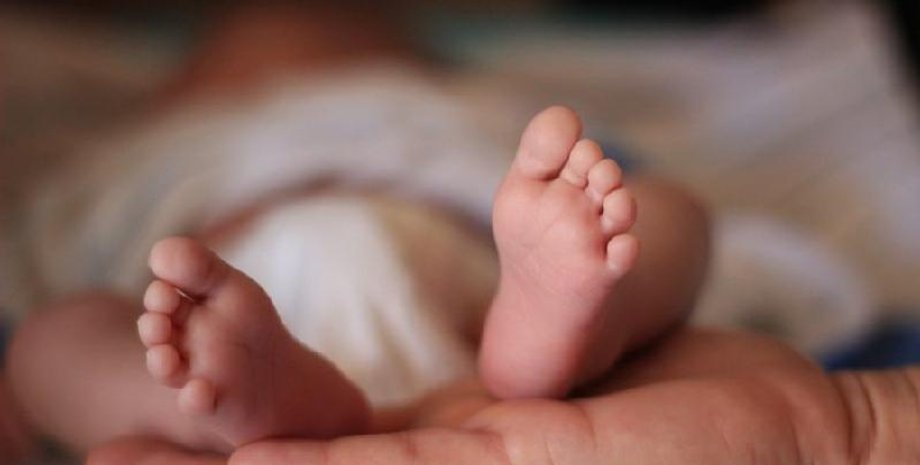 Фото: Казинформ