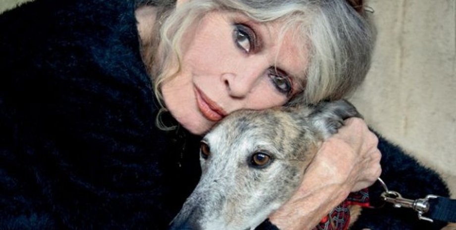 Фото: lilasbleu - LiveJournal