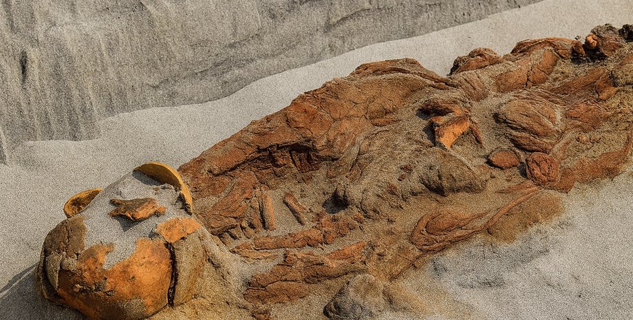 археологи виявили останки декількох осіб