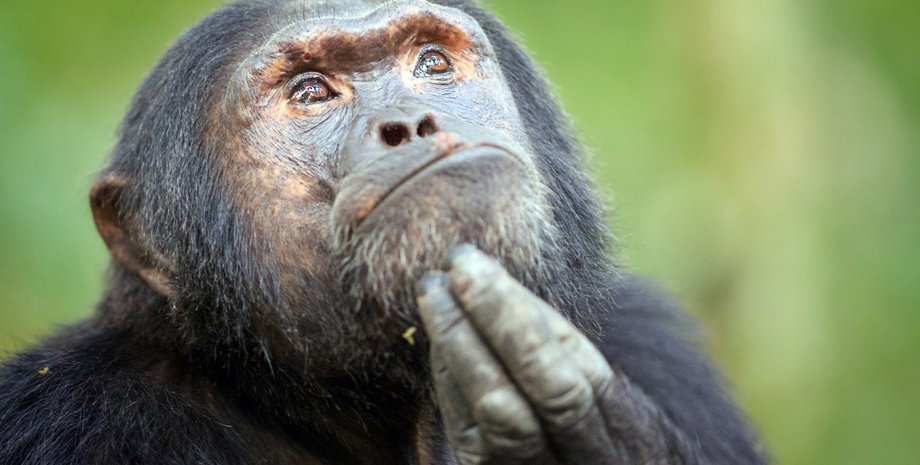 Фото: ВладТайм