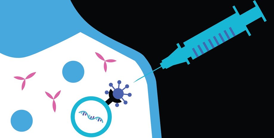 вакцина, коронавирус