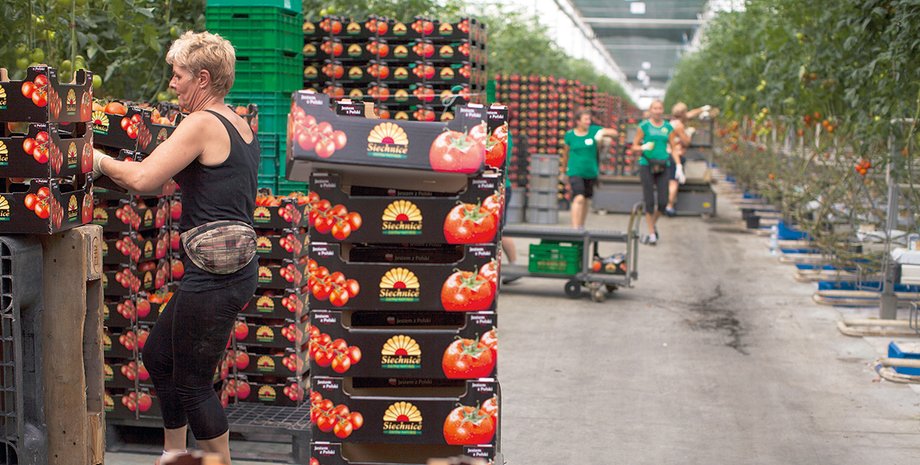 Фото: Getty Images