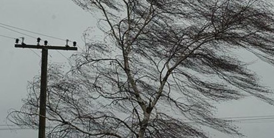 Фото: Цензор.НЕТ