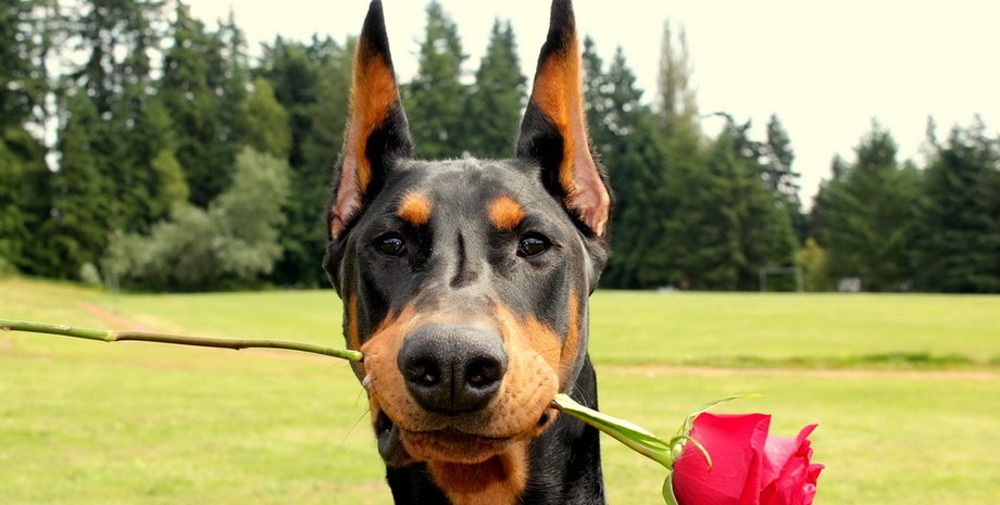 Фото: РИА Новости