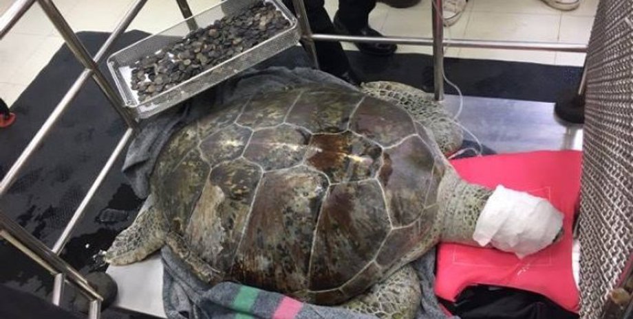 Фото: straitstimes.com