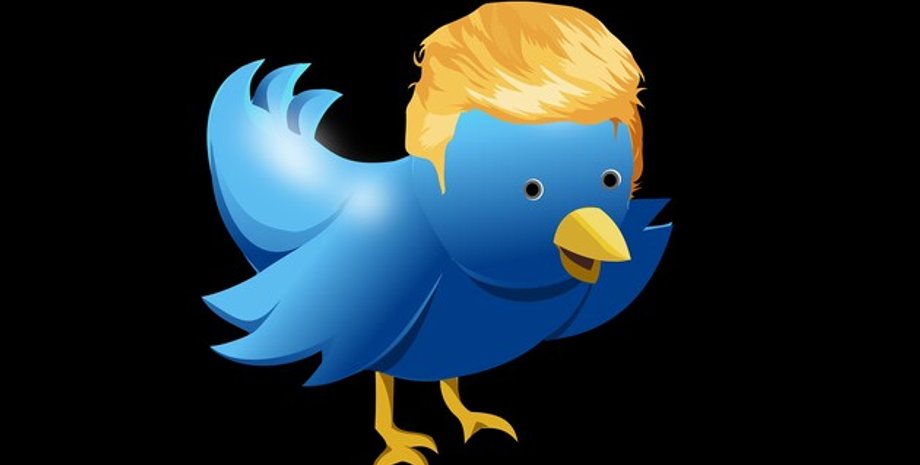 США, соцсети, Дональд Трамп, Дональд Трамп-младший, Илон Маск