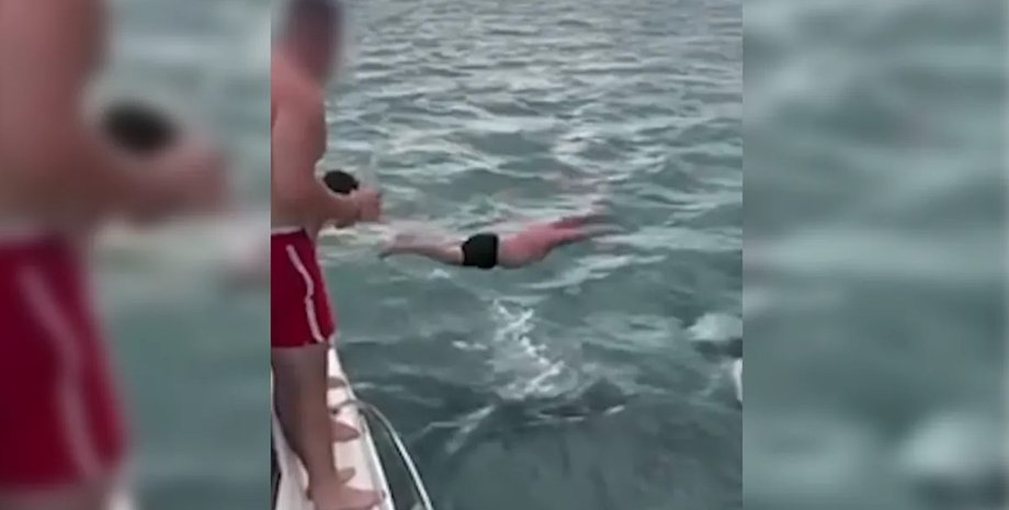 косатка, косатка и человек