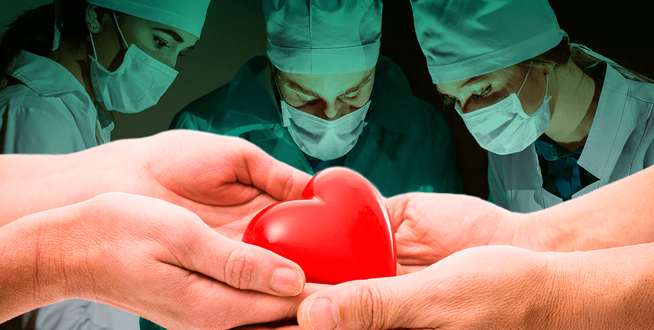 Фото: 24 канал