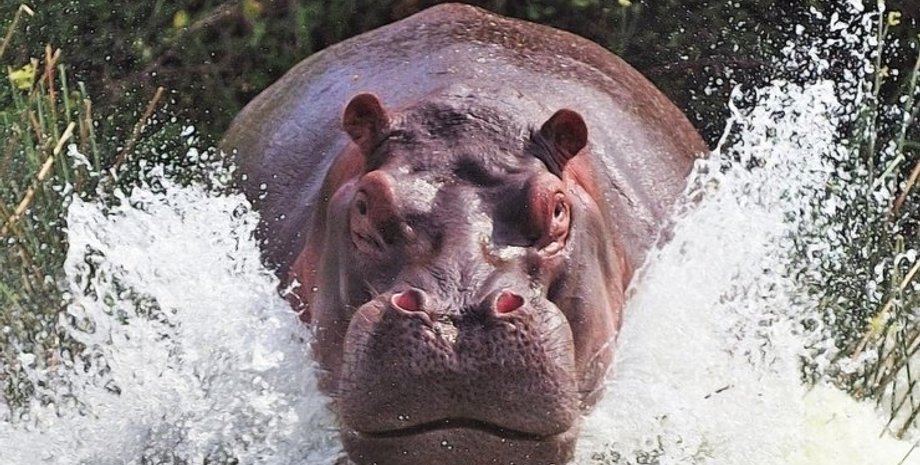 Фото с сайта Сегодня