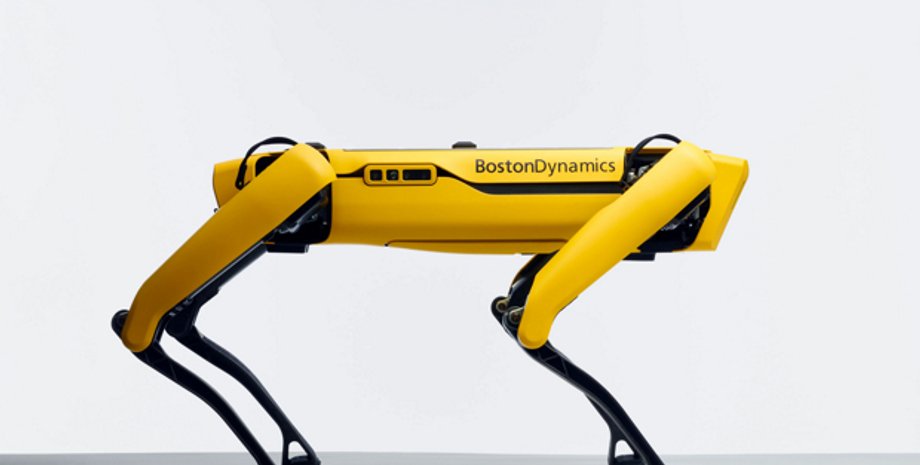 Фото: Boston Dynamics