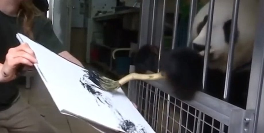 Фото: Скриншот