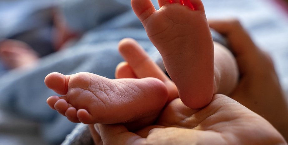 Фото: Cursorinfo