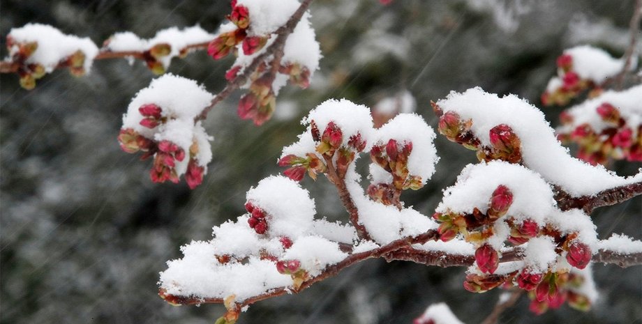 Фото: The Weather Channel