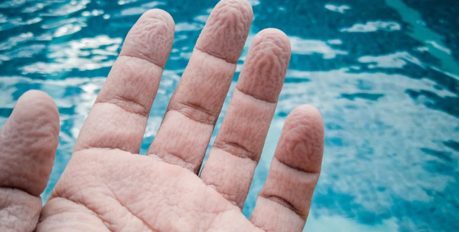 пальцы, пальцы морщинятся, пальцы морщинятся от воды