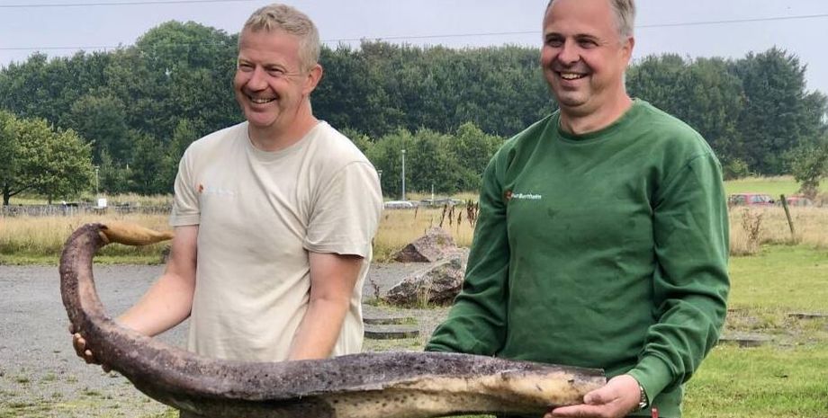 Прибиральники знайшли дивну річ на пляжі, вони спершу думали, що це морська змія, фото, курйози