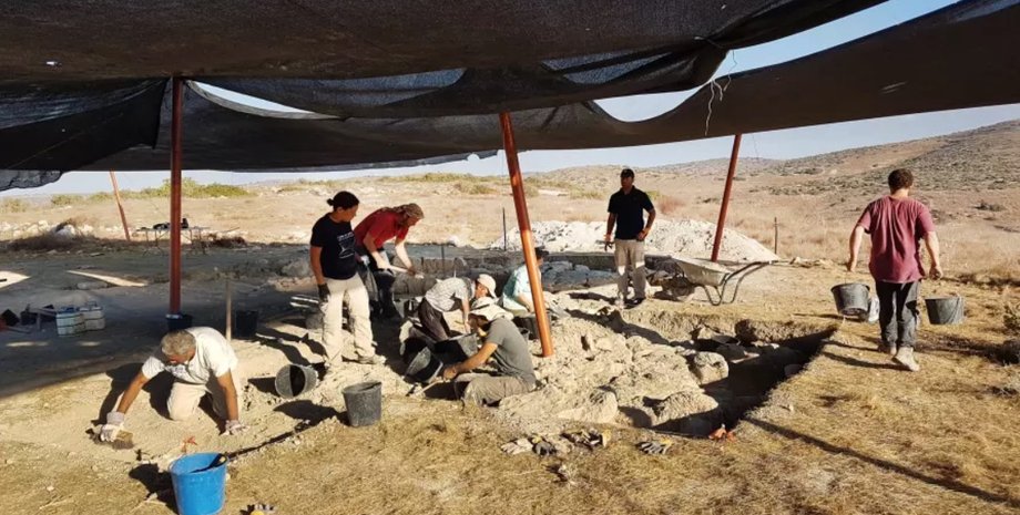 Фото: MICHAL HABER/IAA