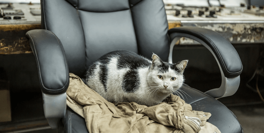новини чернівців, графіки відключень чернівці, новини чернівці, відключення світла чернівці