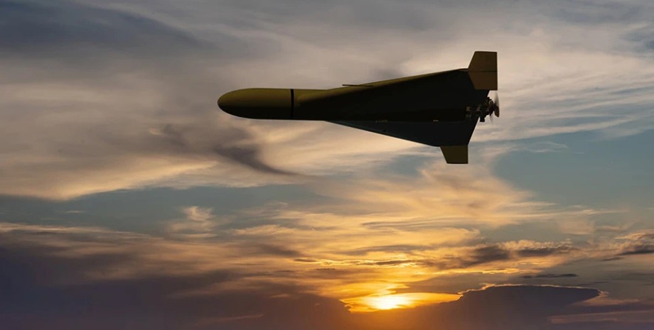 Шахеды Шахеды