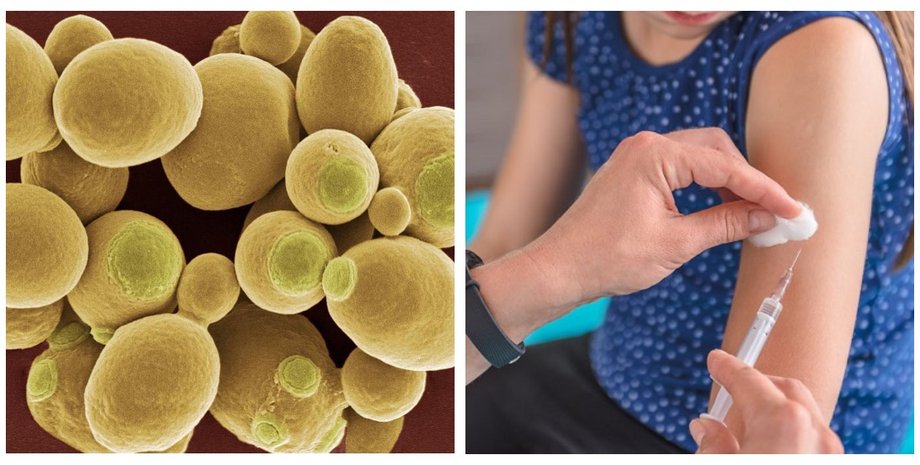 Андрій Сибірний, академік НАН