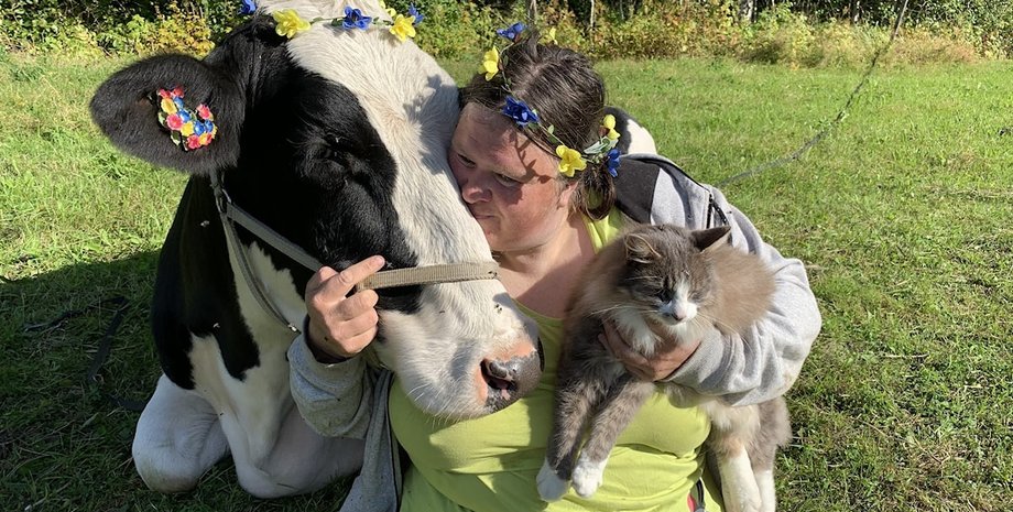 Корова Хильда