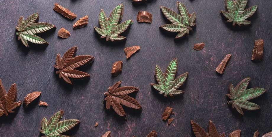 каннабис, формы каннабиса, каннабис концентрат