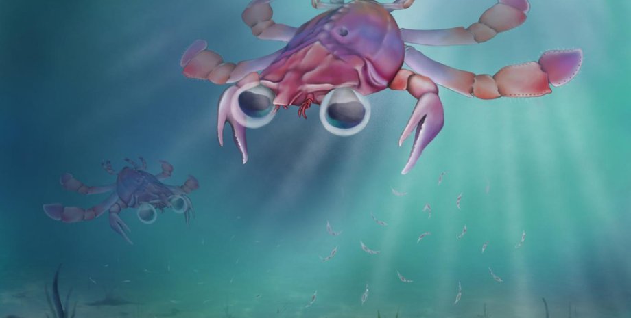 Elissa Martin, Yale Peabody Museum of Natural History