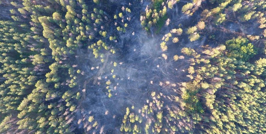 Фото: ГСЧС Украины/Facebook