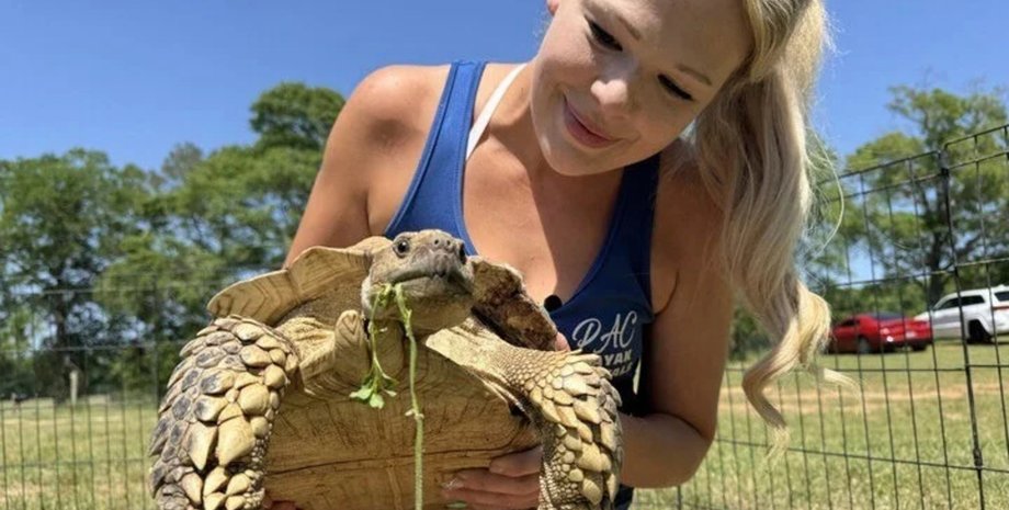 Черепаха повернулася додому після торнадо, черепаха, домашня черепаха, домашня черепаха, вихованець зник після торнадо, поранена тварина, знайшли черепаху, турбота про тварину