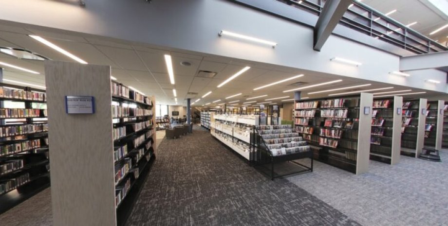 Журналисты рассказывают о трогательной истории любви пары библиотека, фото, книги