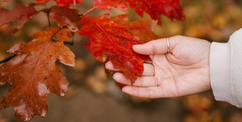 "Одягайтеся щільніше": 20 листопада Україну накриє холод та сильний вітер, – Діденко