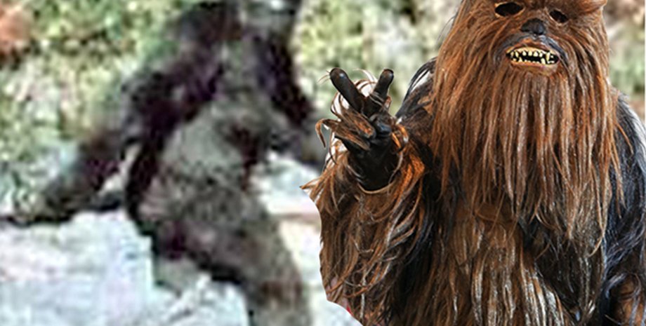 Бигфут, монстр, снежный человек